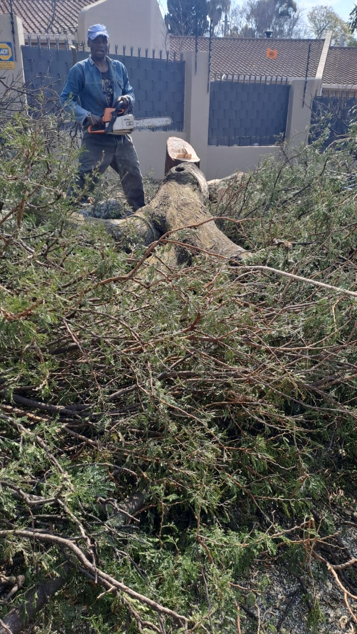 Land clearing in Midrand